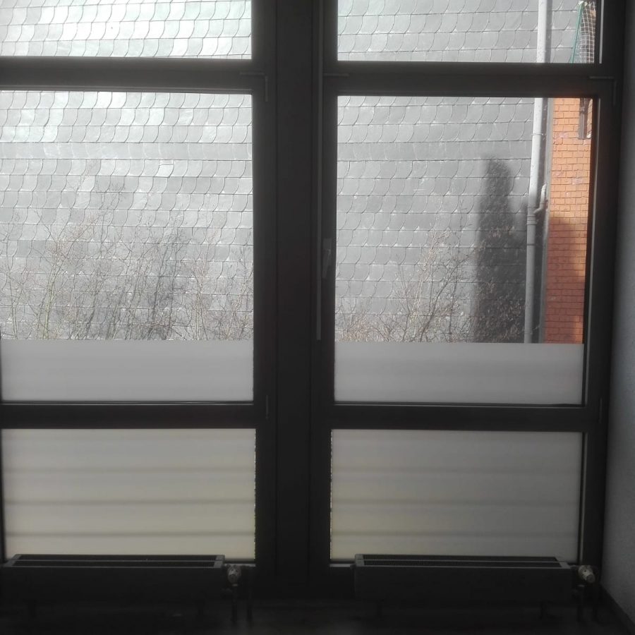 WhatsApp Image 2019-03-25 at 13.46.20 (1)